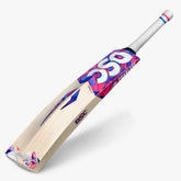 DSC Intense Rage English Willow Bat